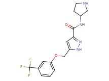 N-pyrrolidin-3-yl-5-{[3-(trifluoromethyl)phenoxy]methyl}-1H-pyrazole-3-carboxamide