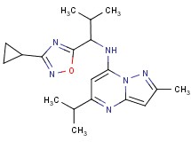 N-[1-(3-cyclopropyl-1,2,4-oxadiazol-5-yl)-2-methylpropyl]-5-isopropyl-2-methylpyrazolo[1,5-a]pyrimidin-7-amine