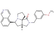 (3aS*,5S*,9aS*)-5-(5-isoquinolinyl)-2-(3-methoxybenzyl)hexahydro-7H-pyrrolo[3,4-g]pyrrolizin-1(2H)-one