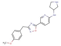 5-[3-(4-methoxybenzyl)-1,2,4-oxadiazol-5-yl]-N-pyrrolidin-3-ylpyridin-2-amine