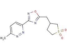 3-{5-[(1,1-dioxidotetrahydro-3-thienyl)methyl]-1,2,4-oxadiazol-3-yl}-6-methylpyridazine