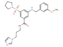 N-[3-(1H-imidazol-1-yl)propyl]-3-[(3-methoxybenzyl)amino]-5-(1-pyrrolidinylsulfonyl)benzamide