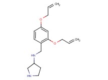 N-[2,4-bis(allyloxy)benzyl]-3-pyrrolidinamine dihydrochloride
