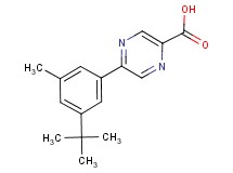 5-(3-tert-butyl-5-methylphenyl)pyrazine-2-carboxylic acid