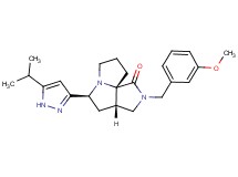 (3aS*,5S*,9aS*)-5-(5-isopropyl-1H-pyrazol-3-yl)-2-(3-methoxybenzyl)hexahydro-7H-pyrrolo[3,4-g]pyrrolizin-1(2H)-one