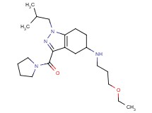 N-(3-ethoxypropyl)-1-isobutyl-3-(1-pyrrolidinylcarbonyl)-4,5,6,7-tetrahydro-1H-indazol-5-amine