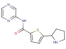 N-2-pyrazinyl-5-(2-pyrrolidinyl)-2-thiophenecarboxamide trifluoroacetate