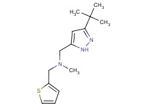 1-(3-tert-butyl-1H-pyrazol-5-yl)-N-methyl-N-(2-thienylmethyl)methanamine