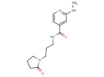2-(methylamino)-N-[3-(2-oxopyrrolidin-1-yl)propyl]isonicotinamide