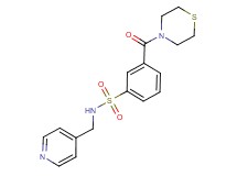 N-(pyridin-4-ylmethyl)-3-(thiomorpholin-4-ylcarbonyl)benzenesulfonamide