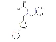 2-methyl-N-(pyridin-2-ylmethyl)-N-{[5-(tetrahydrofuran-2-yl)-2-thienyl]methyl}propan-1-amine