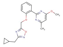 2-(2-{[3-(cyclopropylmethyl)-1,2,4-oxadiazol-5-yl]methoxy}phenyl)-4-methoxy-6-methylpyrimidine