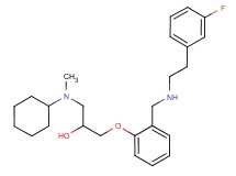 1-[cyclohexyl(methyl)amino]-3-[2-({[2-(3-fluorophenyl)ethyl]amino}methyl)phenoxy]-2-propanol