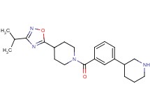 4-(3-isopropyl-1,2,4-oxadiazol-5-yl)-1-(3-piperidin-3-ylbenzoyl)piperidine