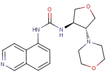 N-isoquinolin-5-yl-N'-[(3R*,4R*)-4-morpholin-4-yltetrahydrofuran-3-yl]urea