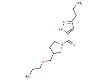 5-{[3-(propoxymethyl)-1-pyrrolidinyl]carbonyl}-3-propyl-1H-pyrazole