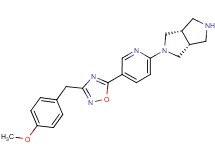(3aR*,6aS*)-2-{5-[3-(4-methoxybenzyl)-1,2,4-oxadiazol-5-yl]pyridin-2-yl}octahydropyrrolo[3,4-c]pyrrole