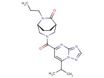 (1S*,5R*)-3-[(7-isopropyl[1,2,4]triazolo[1,5-a]pyrimidin-5-yl)carbonyl]-6-propyl-3,6-diazabicyclo[3.2.2]nonan-7-one