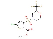 methyl 5-chloro-3-{[2-(trifluoromethyl)morpholin-4-yl]sulfonyl}thiophene-2-carboxylate