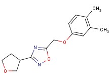 5-[(3,4-dimethylphenoxy)methyl]-3-(tetrahydrofuran-3-yl)-1,2,4-oxadiazole