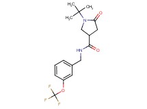 1-tert-butyl-5-oxo-N-[3-(trifluoromethoxy)benzyl]-3-pyrrolidinecarboxamide