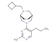 (1R*,5R*)-6-(cyclobutylmethyl)-3-(2-methyl-5-propyl-4-pyrimidinyl)-3,6-diazabicyclo[3.2.2]nonane