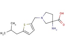 3-amino-1-[(5-isobutyl-2-thienyl)methyl]pyrrolidine-3-carboxylic acid