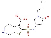 2-{[(5-oxo-1-propylpyrrolidin-3-yl)amino]sulfonyl}-4,5,6,7-tetrahydrothieno[2,3-c]pyridine-3-carboxylic acid