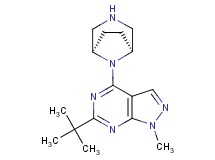 6-tert-butyl-4-[(1R*,5S*)-3,8-diazabicyclo[3.2.1]oct-8-yl]-1-methyl-1H-pyrazolo[3,4-d]pyrimidine