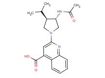2-[(3S*,4R*)-3-(acetylamino)-4-isopropyl-1-pyrrolidinyl]-4-quinolinecarboxylic acid