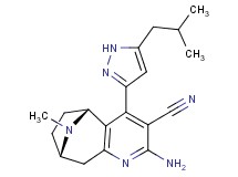 (5R*,8S*)-2-amino-4-(5-isobutyl-1H-pyrazol-3-yl)-10-methyl-6,7,8,9-tetrahydro-5H-5,8-epiminocyclohepta[b]pyridine-3-carbonitrile