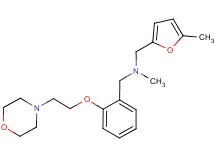 N-methyl-1-(5-methyl-2-furyl)-N-[2-(2-morpholin-4-ylethoxy)benzyl]methanamine