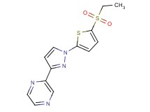 2-{1-[5-(ethylsulfonyl)-2-thienyl]-1H-pyrazol-3-yl}pyrazine