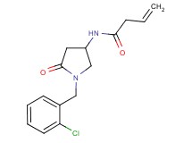 N-[1-(2-chlorobenzyl)-5-oxo-3-pyrrolidinyl]-3-butenamide