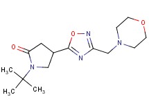 1-tert-butyl-4-[3-(4-morpholinylmethyl)-1,2,4-oxadiazol-5-yl]-2-pyrrolidinone