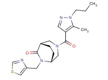 (1S*,5R*)-3-[(5-methyl-1-propyl-1H-pyrazol-4-yl)carbonyl]-6-(1,3-thiazol-4-ylmethyl)-3,6-diazabicyclo[3.2.2]nonan-7-one