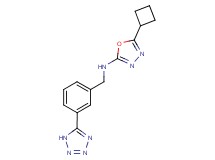5-cyclobutyl-N-[3-(1H-tetrazol-5-yl)benzyl]-1,3,4-oxadiazol-2-amine