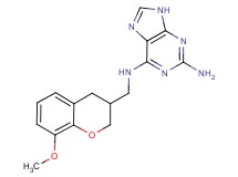 N~6~-[(8-methoxy-3,4-dihydro-2H-chromen-3-yl)methyl]-9H-purine-2,6-diamine