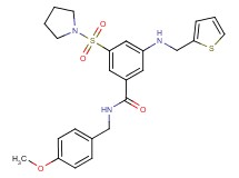 N-(4-methoxybenzyl)-3-(1-pyrrolidinylsulfonyl)-5-[(2-thienylmethyl)amino]benzamide