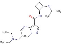 6-[(diethylamino)methyl]-N-[(1S*,2R*)-2-(isopropylamino)cyclobutyl]pyrazolo[1,5-a]pyrimidine-3-carboxamide