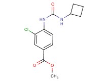methyl 3-chloro-4-{[(cyclobutylamino)carbonyl]amino}benzoate