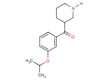 (3-isopropoxyphenyl)(3-piperidinyl)methanone hydrochloride