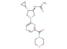 N-{(3R*,4S*)-4-cyclopropyl-1-[6-(4-morpholinylcarbonyl)-2-pyrazinyl]-3-pyrrolidinyl}acetamide