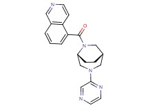 5-{[(1S*,5R*)-3-(2-pyrazinyl)-3,6-diazabicyclo[3.2.2]non-6-yl]carbonyl}isoquinoline