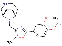 rel-(1S,6R)-9-{[2-(3,4-dimethoxyphenyl)-5-methyl-1,3-oxazol-4-yl]methyl}-3,9-diazabicyclo[4.2.1]nonane dihydrochloride