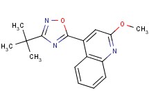 4-(3-tert-butyl-1,2,4-oxadiazol-5-yl)-2-methoxyquinoline