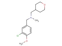 (3-chloro-4-methoxybenzyl)methyl(tetrahydro-2H-pyran-4-ylmethyl)amine