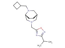 (1S*,5R*)-6-(cyclobutylmethyl)-3-[(3-isopropyl-1,2,4-oxadiazol-5-yl)methyl]-3,6-diazabicyclo[3.2.2]nonane