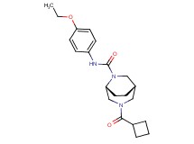 (1S*,5R*)-3-(cyclobutylcarbonyl)-N-(4-ethoxyphenyl)-3,6-diazabicyclo[3.2.2]nonane-6-carboxamide