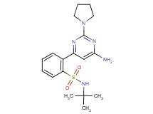 2-(6-amino-2-pyrrolidin-1-ylpyrimidin-4-yl)-N-(tert-butyl)benzenesulfonamide